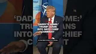 'Daddy's home:' Trump leans into NATO chief comment