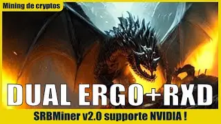 DUAL ERGO+RXD : miner deux cryptos au  top ! #minage #crypto #cryptomonnaie