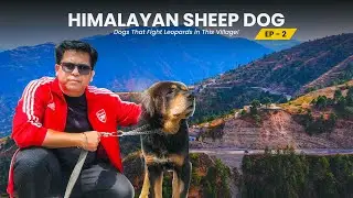 इस गांव में है तेंदुए से लड़ने वाले Dogs||Tunnel पार कर पहुँचे कहाँ 😱 ||Adventure with Bobby Bhaiya