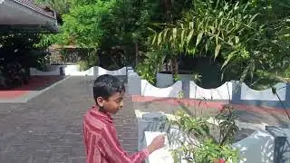 My cute small garden 