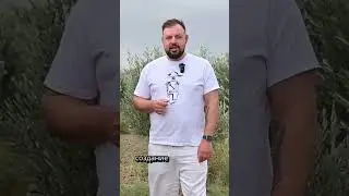 🌳 Сегодня настал долгожданный день &mdash; старт первого раунда предпродаж BioDeposit!