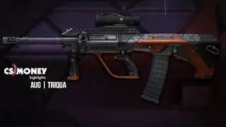 Квадрант - AUG | CS:GO