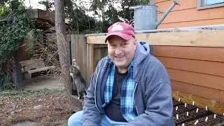 Creating a Divider Using Native Plants and Native Window Boxes