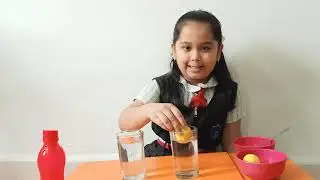 BBS Virtual Science Fair