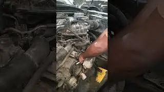 nissan fan clutch removal...
