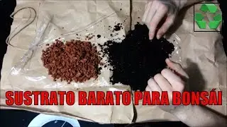 Sustrato bonsái: ladrillo machacado || No Akdama, no Kiryuzuna || Cultivo paso a paso