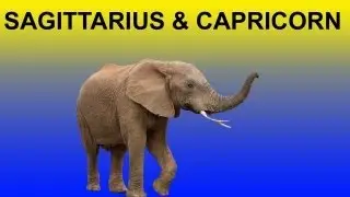 Uttra Ashadha Nakshatra (Vedic Astrology) Sagittarius & Capricorn Horoscope Ep. 20