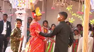 padmawati act dance green apple convent school bundi