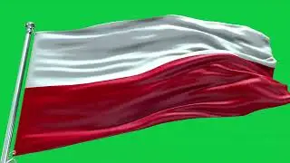 🚩Poland Flag Waving | GREEN SCREEN & CHROMA MATTE🚩
