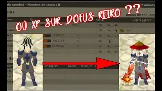 O&Ugrave; EXP SUR DOFUS RETRO MONOCOMPTE ?? Mes zones d'exp et ce que je vous conseils !