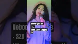 Nobody Gets Me - SZA (Short Cover Snippet) #cover #sza #chillcover #orchestra #singing @sza