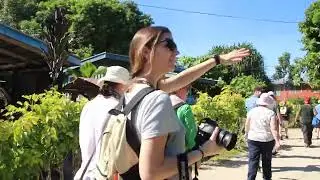 2015 - August. Solomon Islands. Walking through a village on Tulagi.