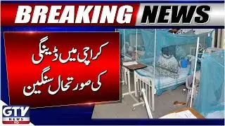 Dengue Situation Becomes Critical in Karachi | Citizens Be Alert | Breaking News | GTV News