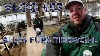 Farm-Vlog #57 Neue Tr&auml;nken f&uuml;r die K&uuml;he, alles f&uuml;r&acute;s Tierwohl