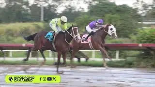 CARRERA 7 - 25/ENERO/2026 (TIZ LIGHT THE WAY)