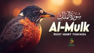 Surah Al-Mulk (سورة الملك) | Ultimate Lofi Quran for Night Calm & Deep Sleep #lofiquran