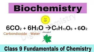 What is Biochemistry Class 9 | Class 9 Chemistry Chapter 1 Fundamentals of Chemistry
