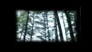 marble hornets MV - get out alive