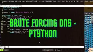 ASMR Programming - DNS Bruteforcing with python - no talking