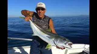Yellowtail fishing at Las Salinas