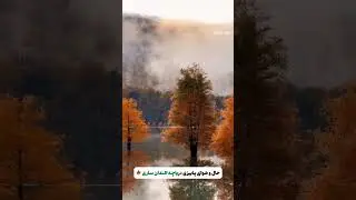 #IRAN #NatureLovers #ScenicDrive #LakeViews #TravelVibes #PeacefulScenery