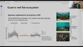 Coral microbiome dynamics in Guam's nearshore reefs