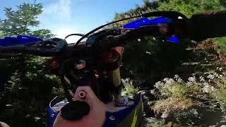 Tansky Flow Singletrack Enduro