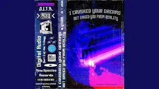 paradox blue interlude