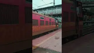 WAP-4 Horn