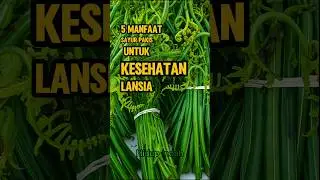 5 Manfaat Sayur Pakis Untuk Lansia