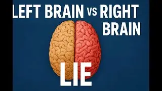 The Left Brain vs Right Brain LIE You&rsquo;ve Believed Your Whole Life | The Psycho Nurse