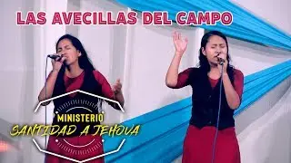 Las Avecillas del Campo / Ministerio Santidad a Jehová / En Vivo