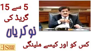 Jobs opportunities | Jobs 5 to 15 Grade | CM Sindh