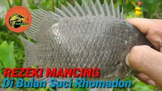 rezeki mancing di bulan suci rhomadon | ikan langkah