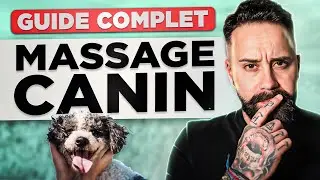 Tout savoir sur le massage canin : &Eacute;TAPE PAR &Eacute;TAPE