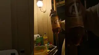 HOMEMADE POPSICLES