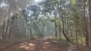 Drive inside Similipal Tiger Reserve