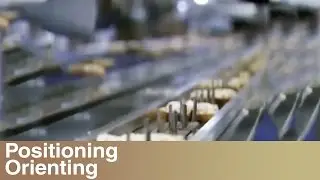 Robotic Product Orientation Conveyor System Pick & Places Paninis