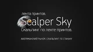 Скальпинг по ленте принтов. Обучение скальпингу. ScalperSky
