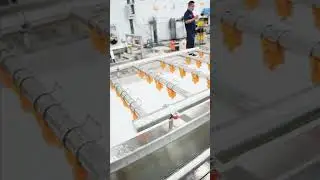 Tomato Washing Cleaning Machinery