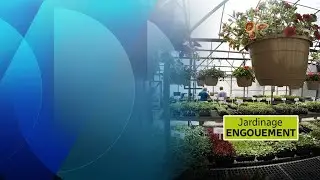 L’engouement pour l’horticulture se poursuit