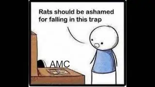 The trap of short squeeze stocks (GME, AMC, NOK, DOGE)