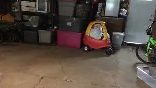 Karenstrikes again movie