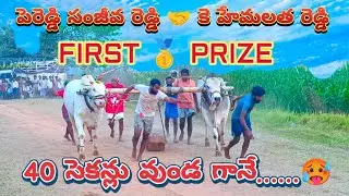 First 🥇🏆 prize rudravaram 4 teeth bulls 🥵🥵#trending #viwes10milionplace #trendingvideo 