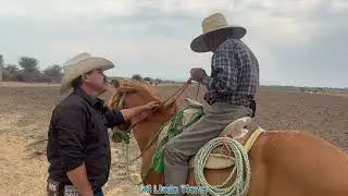 A MIS 80 AÑOS TODAVIA CHAREO MIS VACAS LAS CUIDO Y AQUI NO AY DIAS FESTIVOS