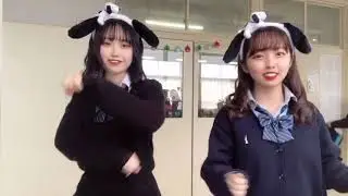 Tik Tok Japan/日本のティックトック学校/Japan High School Tik Tok #07
