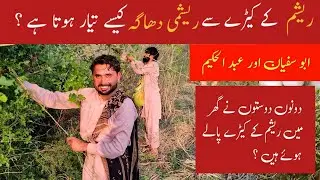 How silk made from silkworms / profitable business / Forest life / wildlife / changa manga/episo 02