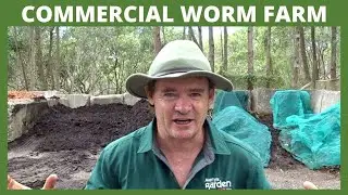 Martys Garden Commercial Worm Farm Update