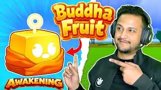 I Awakened Buddha Fruit&hellip; INSANE Damage! 😳 | Blox Fruits