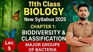 Major Groups of Bacteria|11th biology chapter 1 biodiversity and classification|new syllabus|Dr Saqi